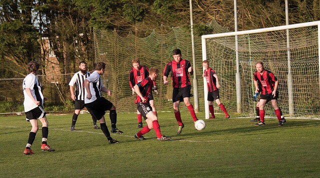 杨文龙和姜 杨文龙和姜