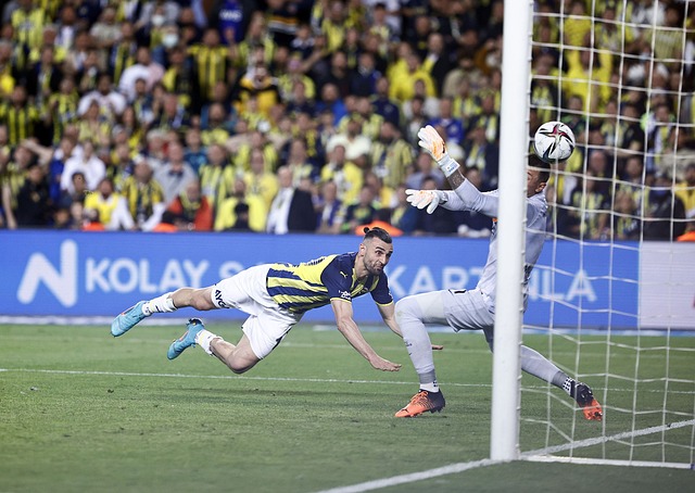 无论未来如 无论未来如