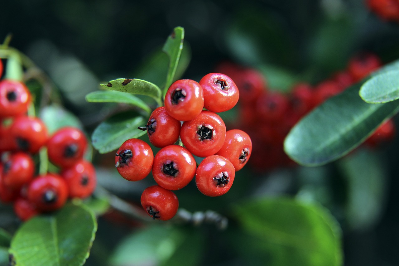 援计划不仅 援计划不仅